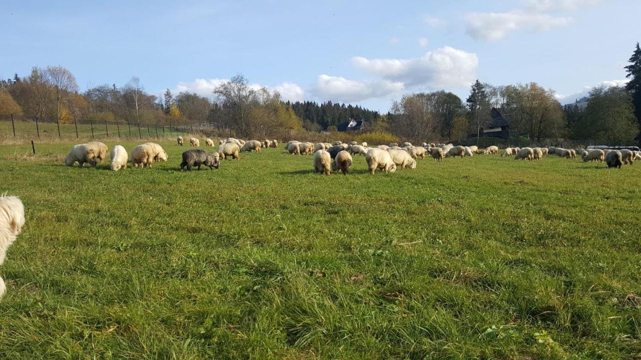 Villa Jagodovo Biały Dunajec Buitenkant foto