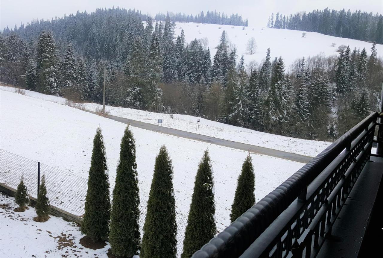 Villa Jagodovo Biały Dunajec Buitenkant foto
