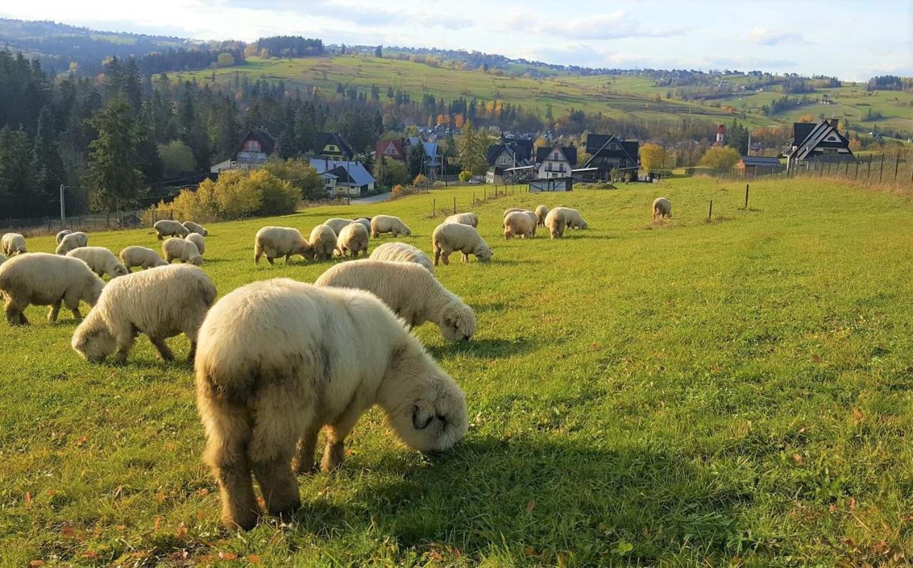 Villa Jagodovo Biały Dunajec Buitenkant foto