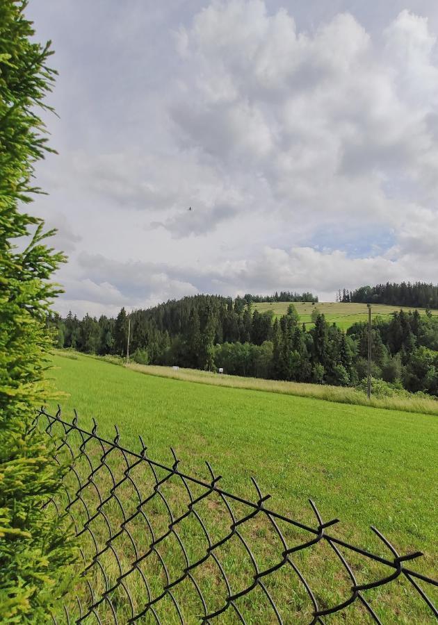 Villa Jagodovo Biały Dunajec Buitenkant foto