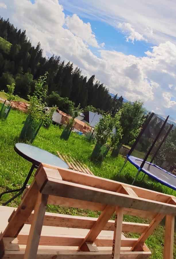 Villa Jagodovo Biały Dunajec Buitenkant foto